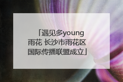 遇见多young雨花 长沙市雨花区国际传播联盟成立