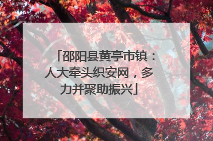 邵阳县黄亭市镇：人大牵头织安网，多力并聚助振兴