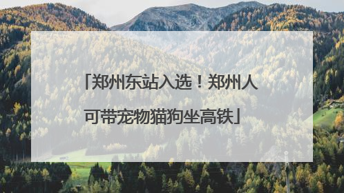 郑州东站入选！郑州人可带宠物猫狗坐高铁