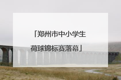 郑州市中小学生荷球锦标赛落幕