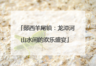 郧西羊尾镇：龙潭河山水间的欢乐盛宴