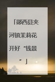 郧西县夹河镇茉莉花开好“钱景”