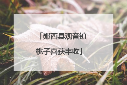 郧西县观音镇桃子喜获丰收