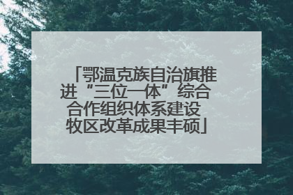 鄂温克族自治旗推进“三位一体”综合合作组织体系建设 牧区改革成果丰硕