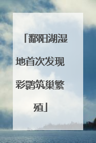 鄱阳湖湿地首次发现彩鹮筑巢繁殖