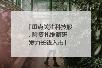 重点关注科技股，险资扎堆调研，发力长钱入市