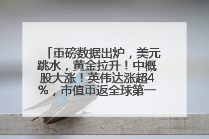 重磅数据出炉，美元跳水，黄金拉升！中概股大涨！英伟达涨超4%，市值重返全球第一！黄仁勋计划出售至多600万股股票