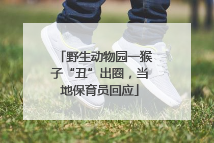 野生动物园一猴子“丑”出圈，当地保育员回应