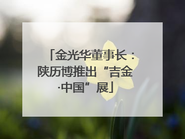 金光华董事长：陕历博推出“吉金·中国”展