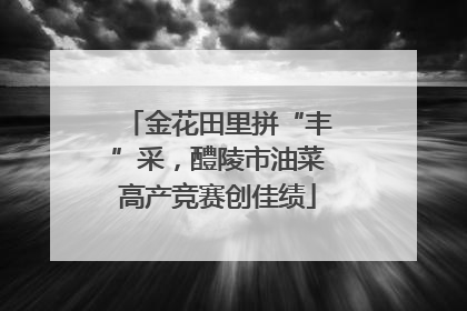 金花田里拼“丰”采，醴陵市油菜高产竞赛创佳绩