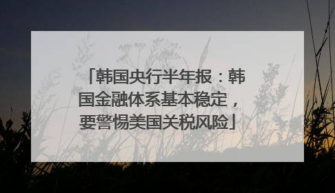 韩国央行半年报：韩国金融体系基本稳定，要警惕美国关税风险