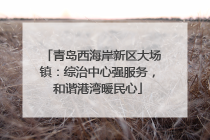 青岛西海岸新区大场镇：综治中心强服务，和谐港湾暖民心