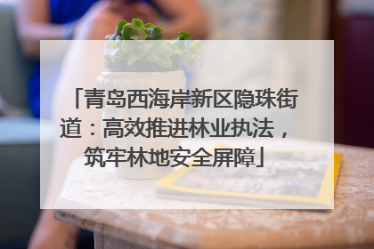 青岛西海岸新区隐珠街道：高效推进林业执法，筑牢林地安全屏障