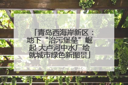 青岛西海岸新区：地下“治污堡垒”崛起 大卢河中水厂绘就城市绿色新图景