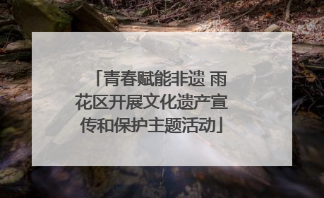 青春赋能非遗 雨花区开展文化遗产宣传和保护主题活动