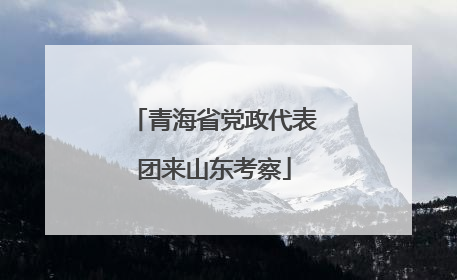 青海省党政代表团来山东考察