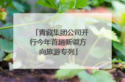 青藏集团公司开行今年首趟新疆方向旅游专列