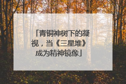 青铜神树下的凝视，当《三星堆》成为精神镜像