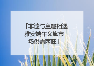 非遗与童趣相遇 雅安端午文旅市场供需两旺
