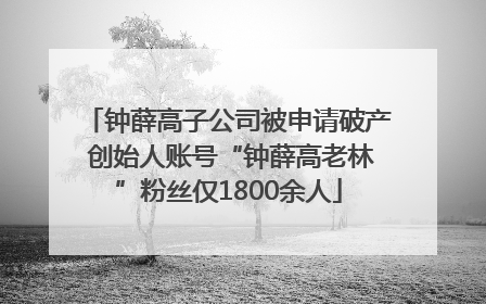 钟薛高子公司被申请破产 创始人账号“钟薛高老林”粉丝仅1800余人