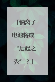 钠离子电池将成“后起之秀”？