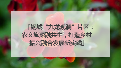 钢城“九龙观澜”片区：农文旅深融共生，打造乡村振兴融合发展新实践