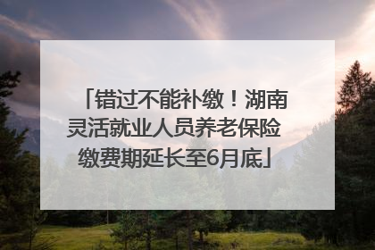 错过不能补缴！湖南灵活就业人员养老保险缴费期延长至6月底