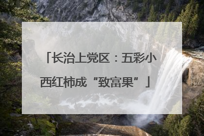 长治上党区：五彩小西红柿成“致富果”