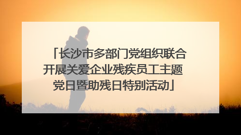 长沙市多部门党组织联合开展关爱企业残疾员工主题党日暨助残日特别活动