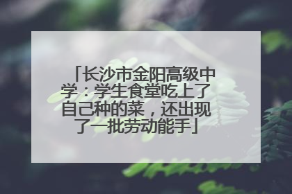长沙市金阳高级中学：学生食堂吃上了自己种的菜，还出现了一批劳动能手