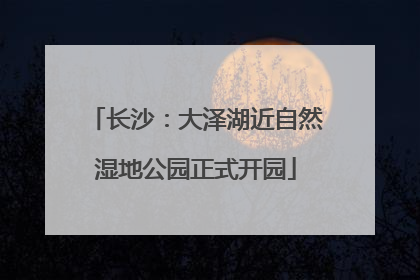 长沙：大泽湖近自然湿地公园正式开园