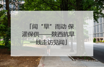 闻“旱”而动 保灌保供——陕西抗旱一线走访见闻