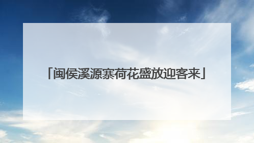 闽侯溪源寨荷花盛放迎客来
