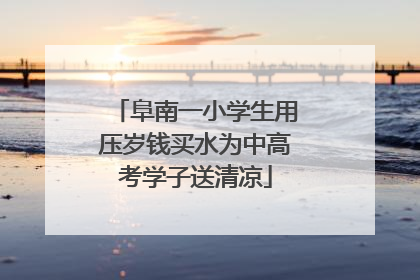 阜南一小学生用压岁钱买水为中高考学子送清凉