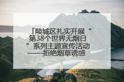 陵城区扎实开展“第38个世界无烟日”系列主题宣传活动——拒绝烟草诱惑 对第一支烟说不