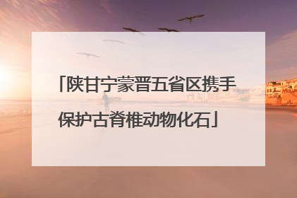 陕甘宁蒙晋五省区携手保护古脊椎动物化石