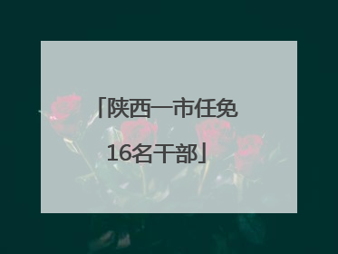 陕西一市任免16名干部