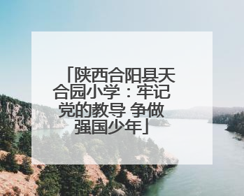 陕西合阳县天合园小学：牢记党的教导 争做强国少年