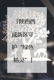 陕西西咸新区守护“绿色精灵”