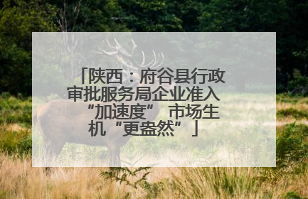 陕西：府谷县行政审批服务局企业准入“加速度” 市场生机“更盎然”