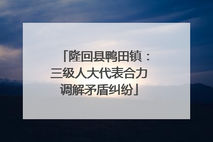隆回县鸭田镇：三级人大代表合力调解矛盾纠纷