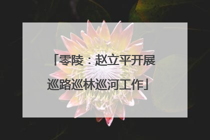 零陵：赵立平开展巡路巡林巡河工作