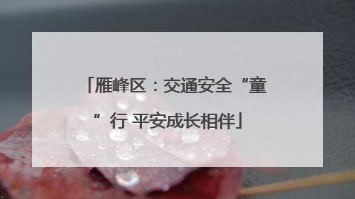 雁峰区：交通安全“童”行 平安成长相伴