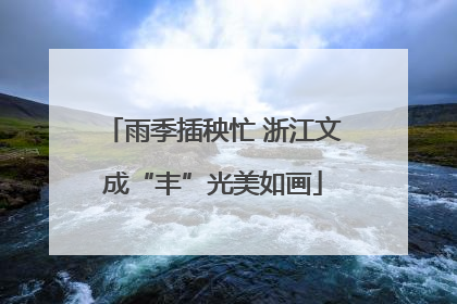 雨季插秧忙 浙江文成“丰”光美如画