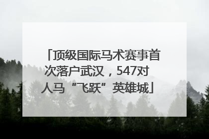 顶级国际马术赛事首次落户武汉，547对人马“飞跃”英雄城