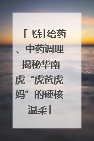 飞针给药、中药调理 揭秘华南虎“虎爸虎妈”的硬核温柔