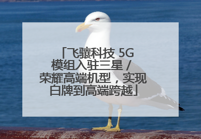 飞骧科技 5G 模组入驻三星 / 荣耀高端机型，实现白牌到高端跨越