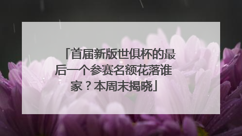 首届新版世俱杯的最后一个参赛名额花落谁家？本周末揭晓