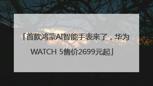 首款鸿蒙AI智能手表来了，华为WATCH 5售价2699元起