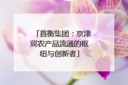 首衡集团：京津冀农产品流通的枢纽与创新者